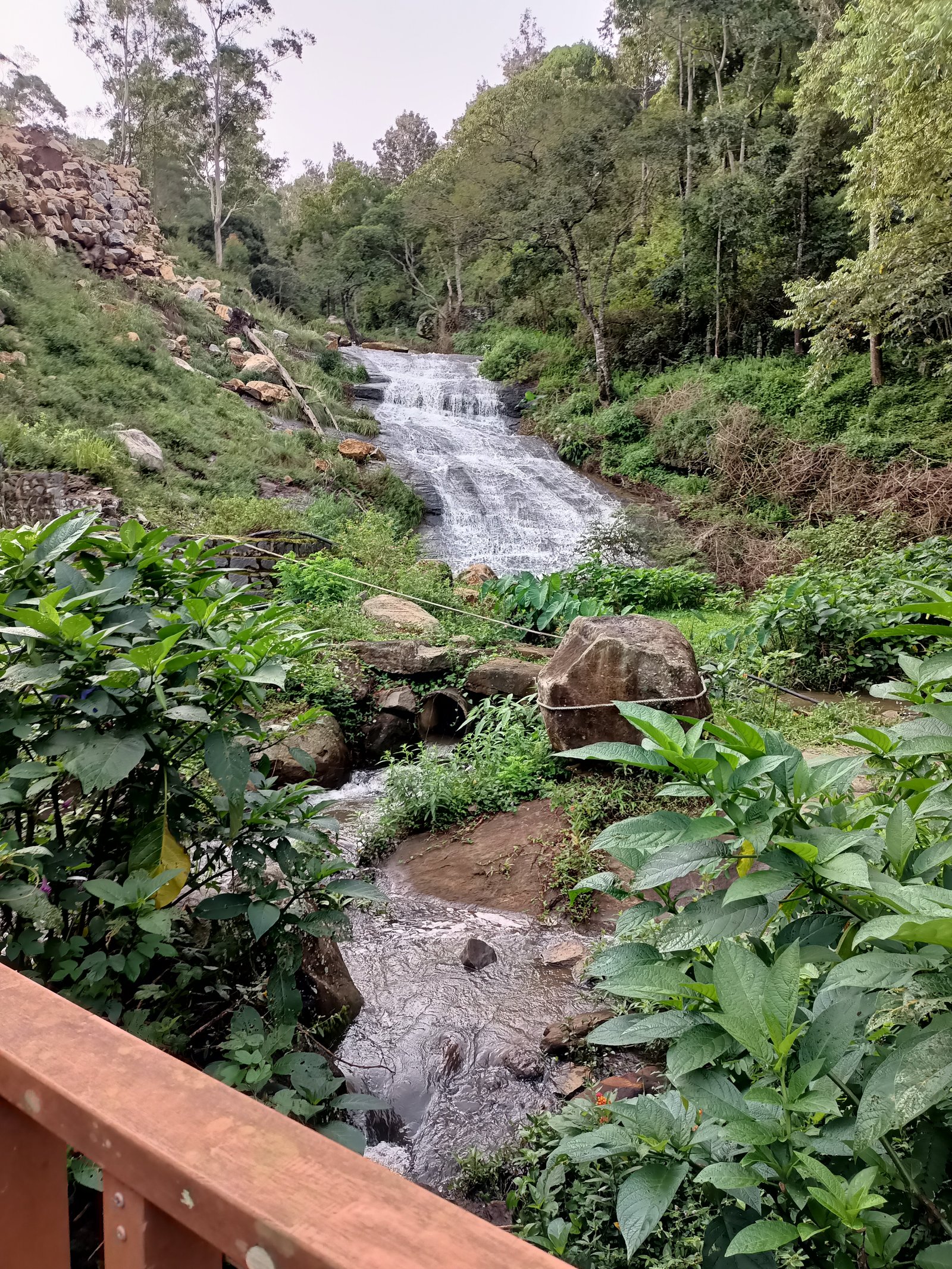 Yercaud Guest House gallery image 4