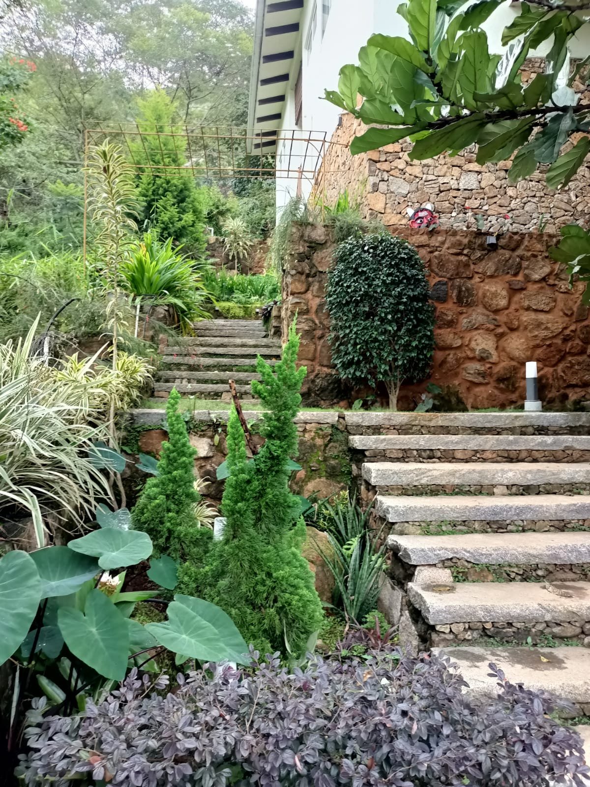 Yercaud Guest House gallery image 7