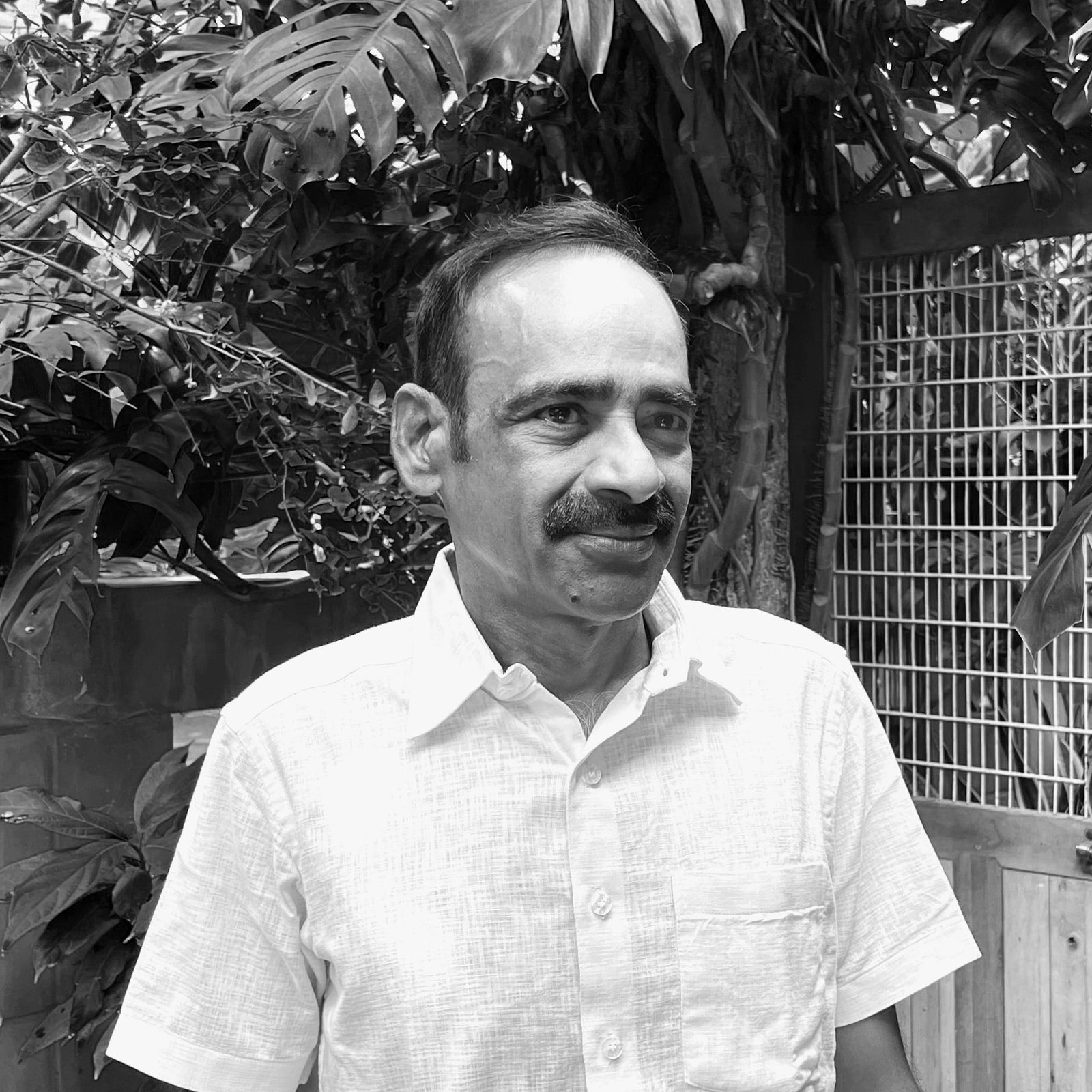 w-100 h-100 rounded-sm